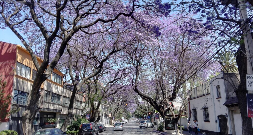 comprar-casa-benito-juarez-cdmx-5-alt