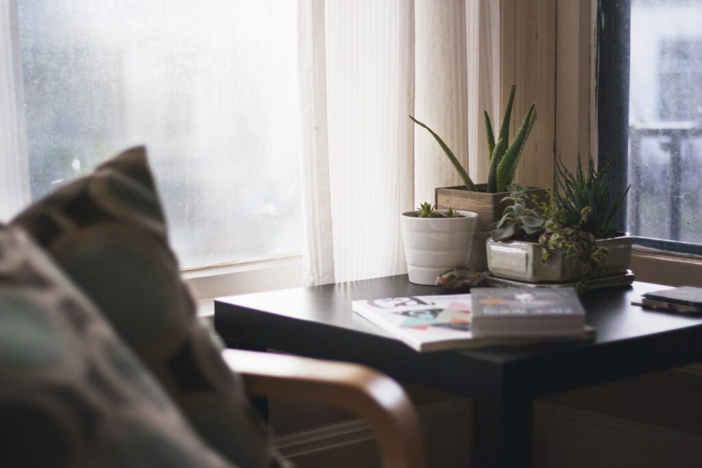 cómo decorar con plantas 3 alt